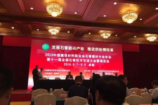甘肅景泰金龍建材公司榮獲第十一屆全國石膏行業(yè)突出貢獻獎