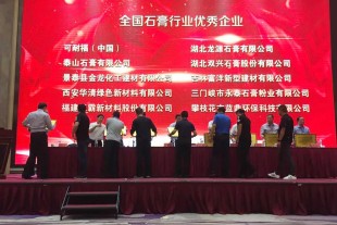 甘肅景泰金龍化工建材有限公司榮獲2016-2017年度全國石膏行業(yè)優(yōu)秀企業(yè)