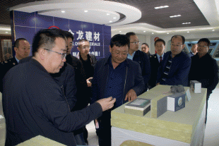 市人大領(lǐng)導一行蒞臨我公司調研指導